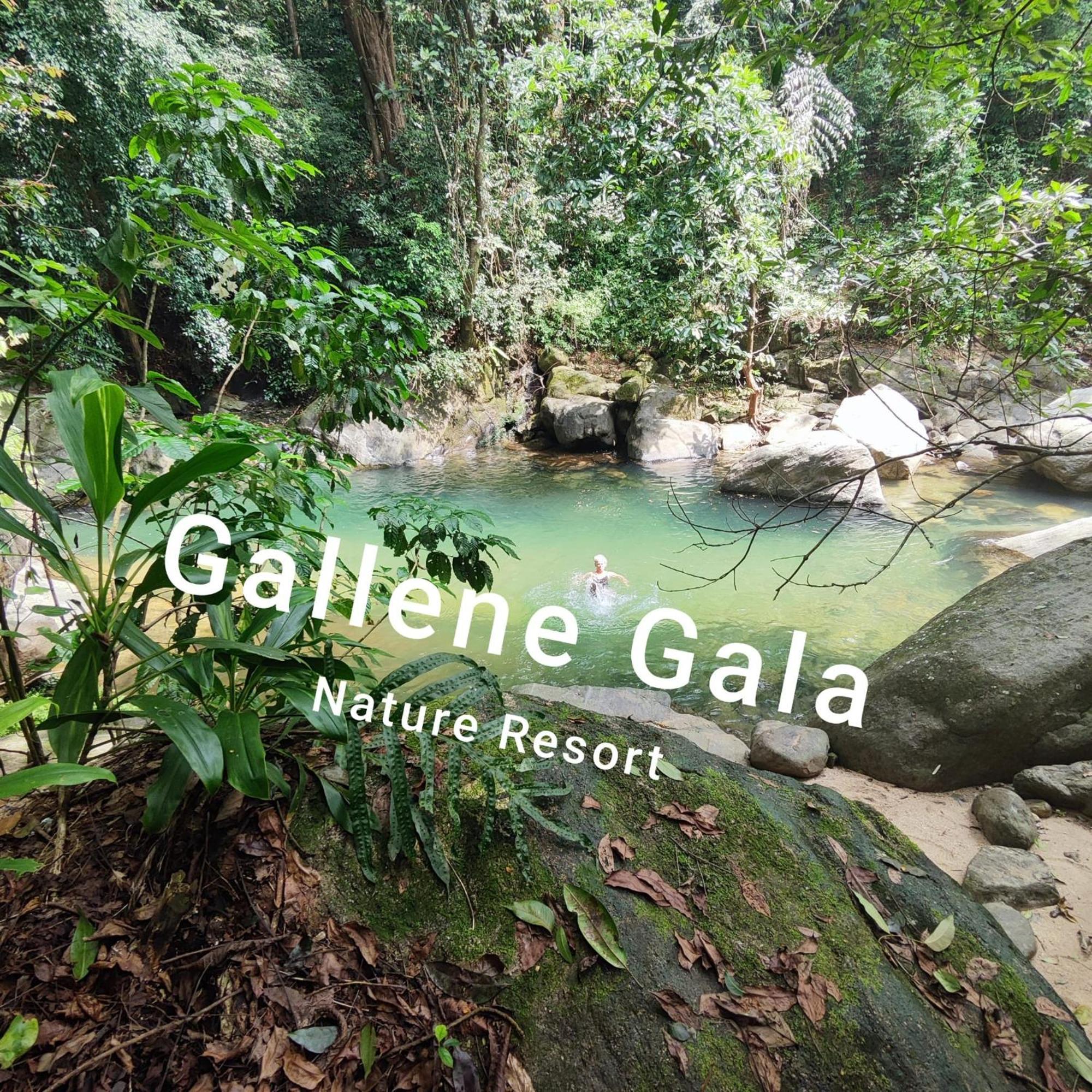 Gallene Gala Nature Resort 키둘가라 외부 사진